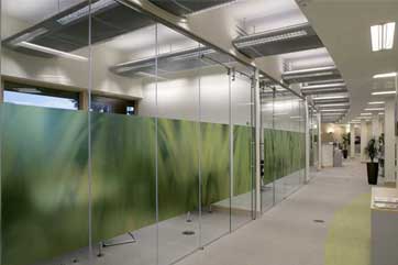 Glass Walls