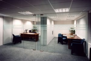 Pivot Frameless Swing Door Gallery 1