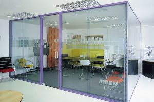 Pivot Frameless Swing Door Gallery 11