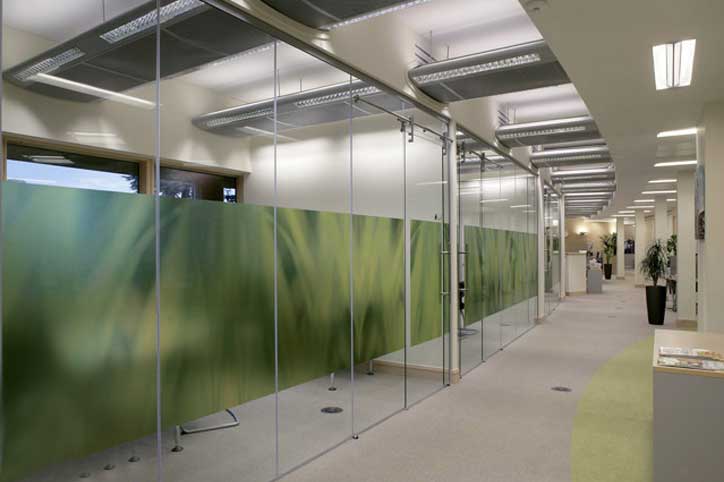 Glass Office Divider