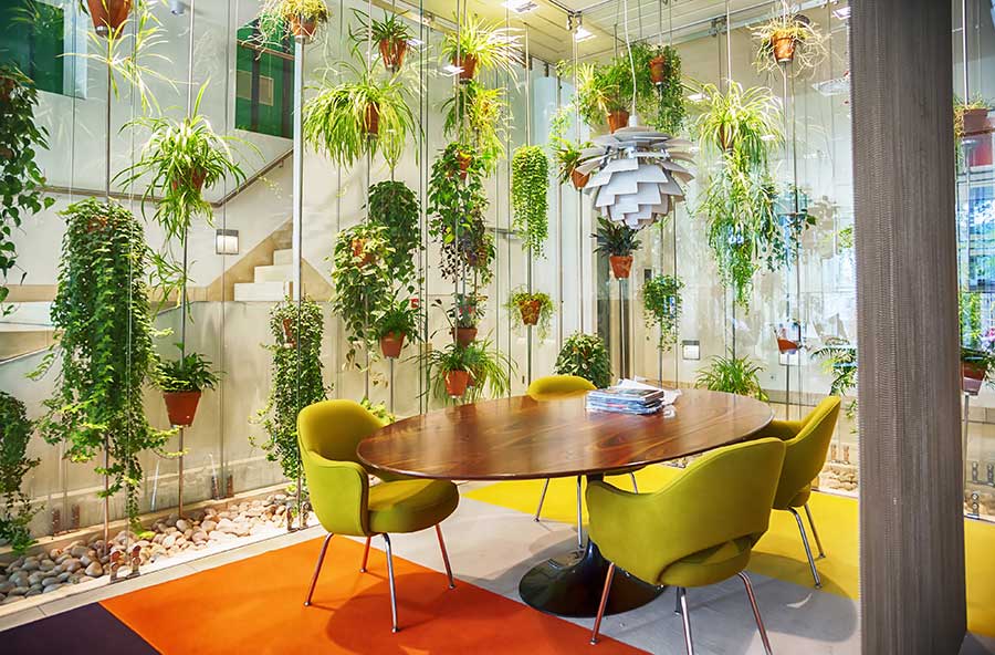 living greenery workspace