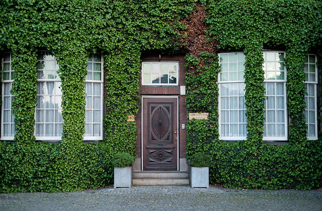 a brief history of doors - Door and Door