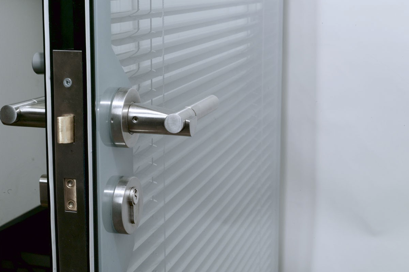 Double glazed door with the integration of blinds